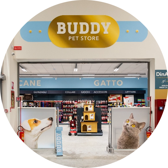 Buddy store